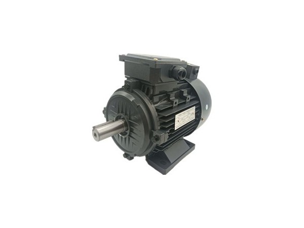 三相力矩電動(dòng)機(jī)廠家產(chǎn)品圖片