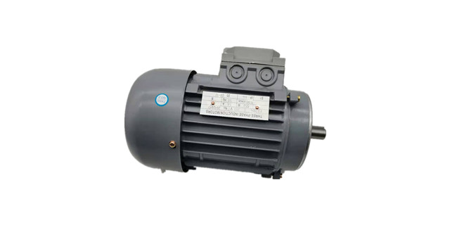 三相異步電動機(jī)廠家